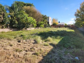 VENDO TERRENO EN SAN BENITO