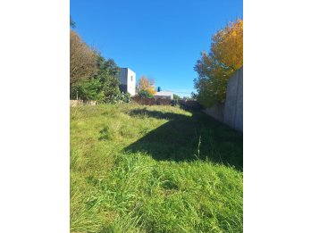 VENDO TERRENO EN SAN BENITO