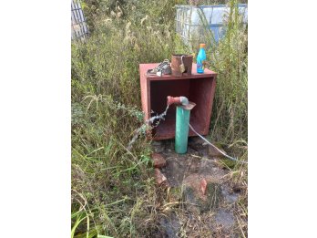🌾 **CHACRA EN VENTA – 13 HECTÁREAS | RUTA 127**