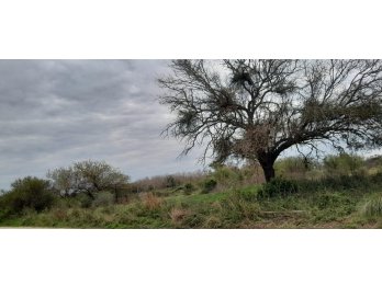 🌿 **TERRENO EN VENTA – ALVEAR**