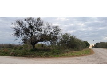 🌿 **TERRENO EN VENTA – ALVEAR**