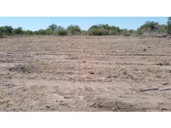 🌿 **TERRENO EN VENTA – ALVEAR**