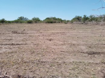 🌿 **TERRENO EN VENTA – ALVEAR**