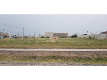 Tres lotes juntos en Tierra Alta I Colonia Ensayo