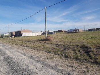 Tres lotes juntos en Tierra Alta I Colonia Ensayo