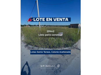 TERRENO EN VENTA COLONIA AVELLANEDA