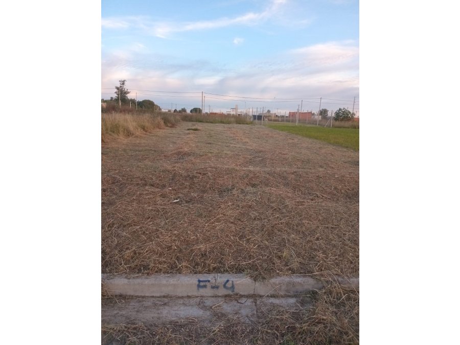 TERRENO EN VENTA Colonia Avellaneda zona Los Silos