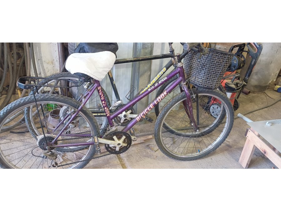 vendo dos bicicletas