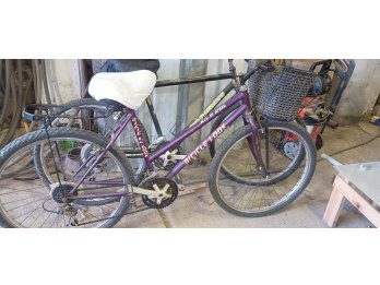 vendo dos bicicletas