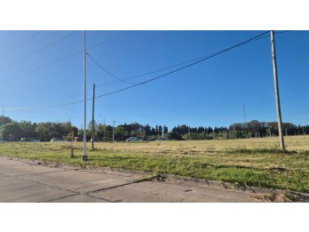 🌿 **TIERRA SANTA – NUEVA URBANIZACIÓN | ZONA SEMINARIO**