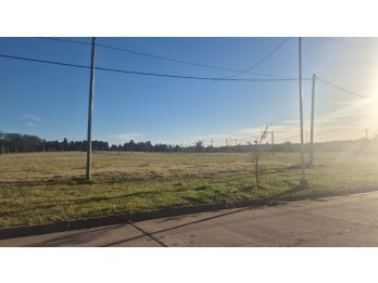 🌿 **TIERRA SANTA – NUEVA URBANIZACIÓN | ZONA SEMINARIO**