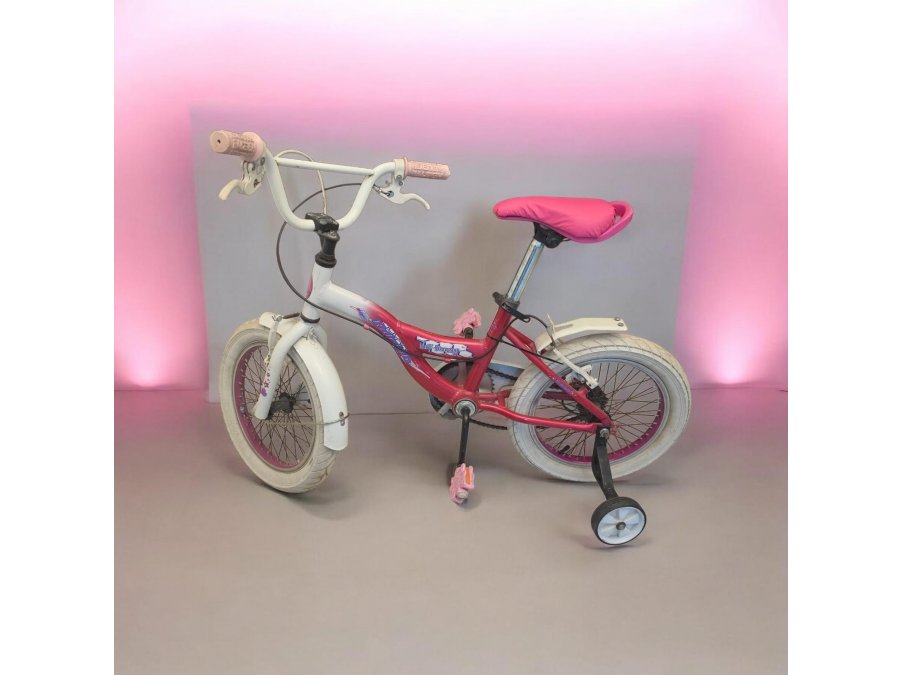 Bicicleta Raleigh R16 niña
