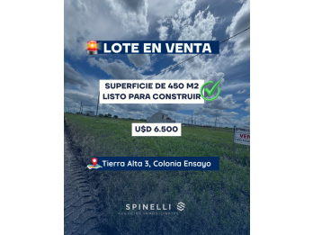 TERRENO EN VENTA EN COLONIA ENSAYO
