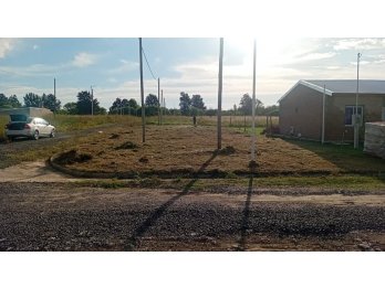 Los Silos 8000 uss. Ingreso a Paraná