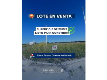 TERRENO EN VENTA EN COLONIA AVELLANEDA