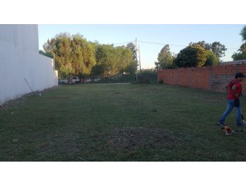 Terreno 15x32