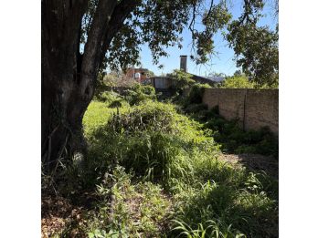 VENDE: Casa a reciclar, calle Los talas