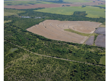 Campo en venta – 119,5 hectáreas en Gdor. Sola