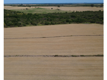 Campo en venta – 119,5 hectáreas en Gdor. Sola
