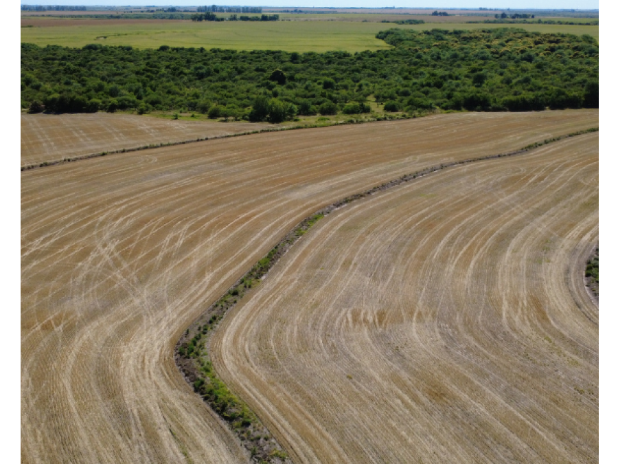 Campo en venta – 119,5 hectáreas en Gdor. Sola