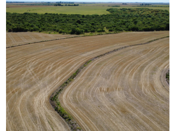 Campo en venta – 119,5 hectáreas en Gdor. Sola