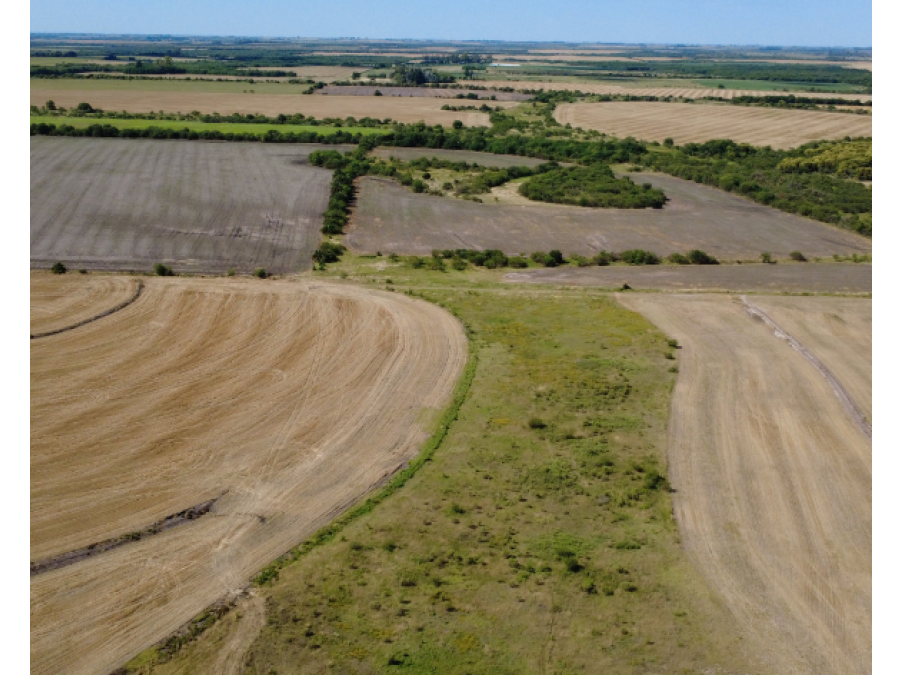 Campo en venta – 119,5 hectáreas en Gdor. Sola