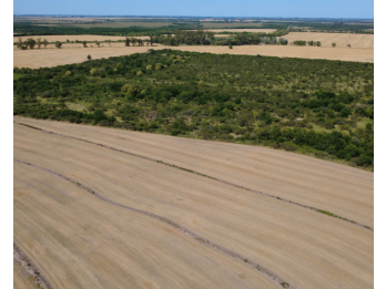 Campo en venta – 119,5 hectáreas en Gdor. Sola
