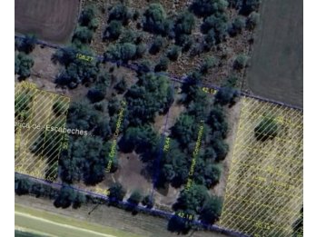 OPORTUNIDAD DE INVERSIÓN DE LOTES EN VILLA URQUIZA