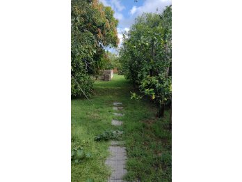 VENDE: Calle Los Ceibos casa dos dormitorios y gran fondo