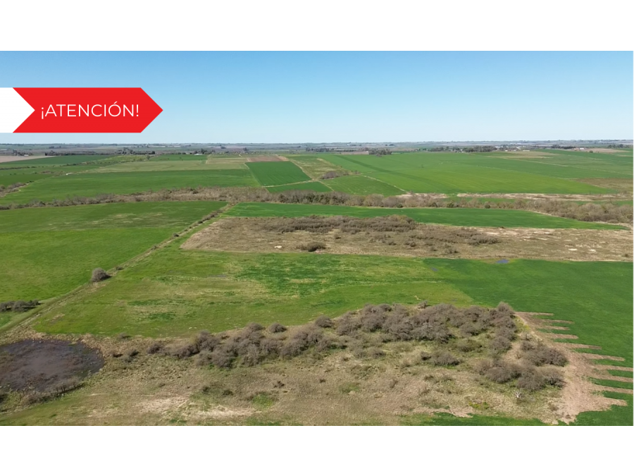 Campo en Sauce Pinto – Dpto. Paraná 🌾