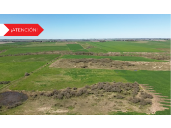 Campo en Sauce Pinto – Dpto. Paraná 🌾