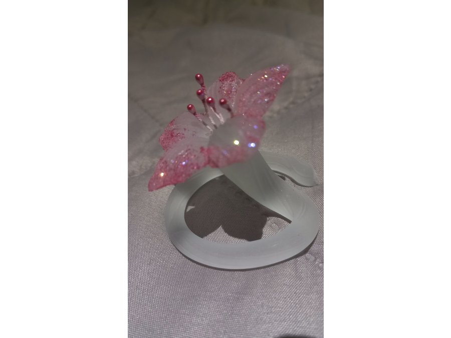 Souvenir para eventos