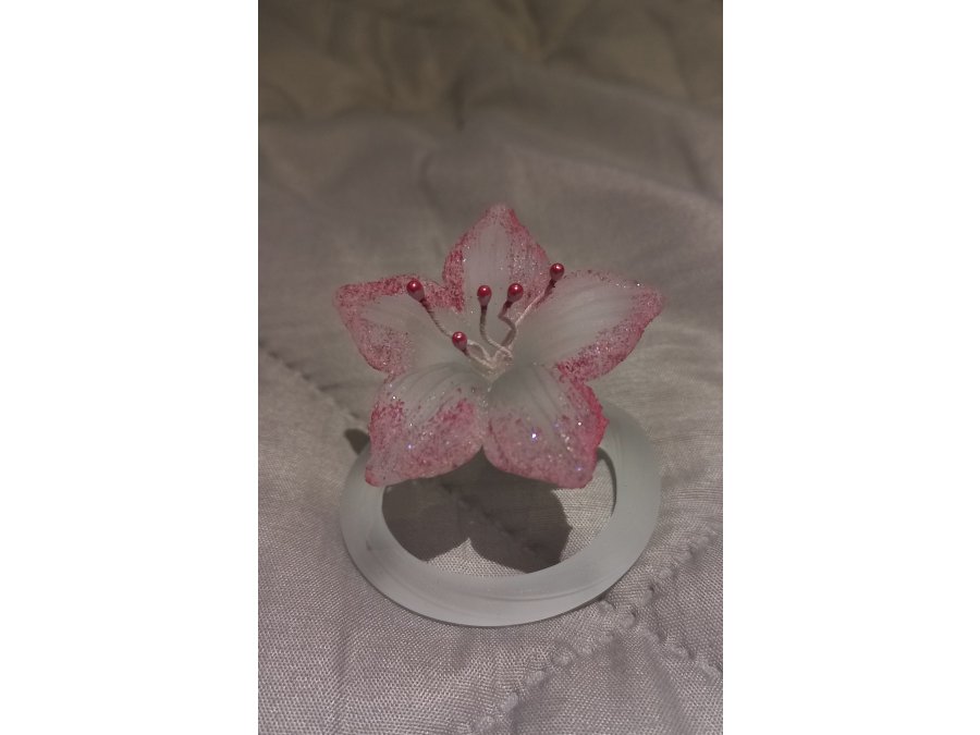 Souvenir para eventos