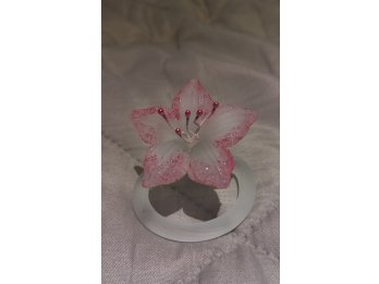 Souvenir para eventos