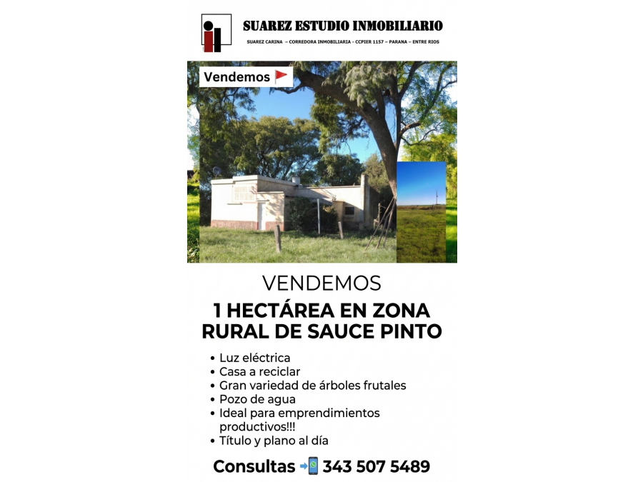 Vendemos 🚩 1 HA. EN SAUCE 🌳