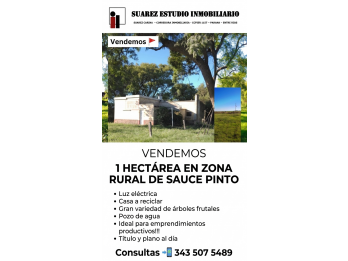 Vendemos 🚩 1 HA. EN SAUCE 🌳