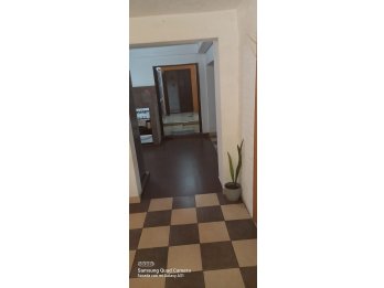 VENTA DPTO. P.B. CALLE DIA DEL ARBOL B° DEL SOL