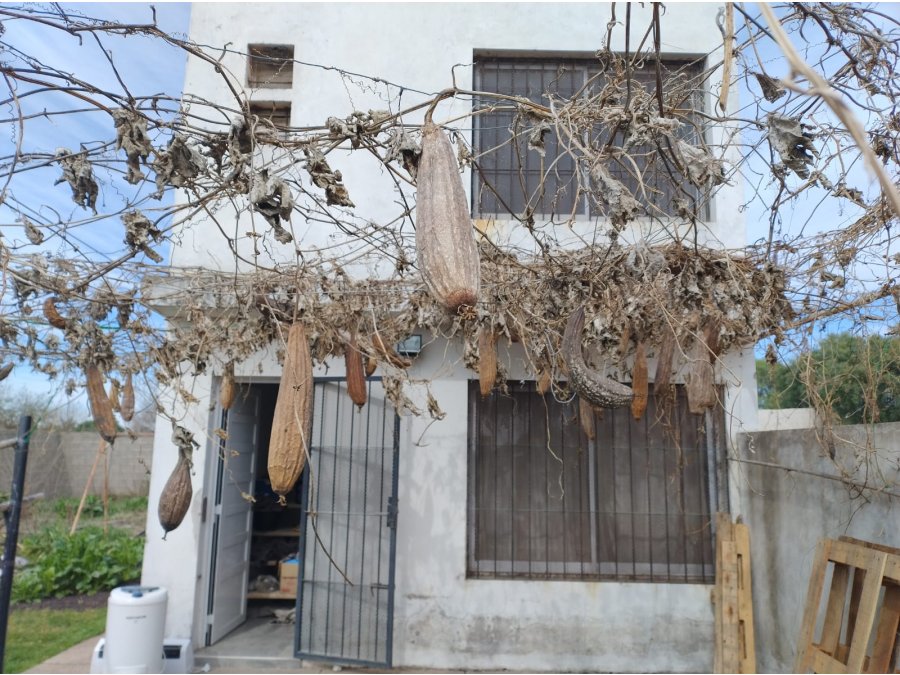 OPORTUNIDAD VENTA DE CASA EN  SAN BENITO