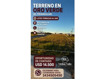 TERRENO EN EL TRIANGULAR, ORO VERDE, LOTE EN ESQUINA 318 M2