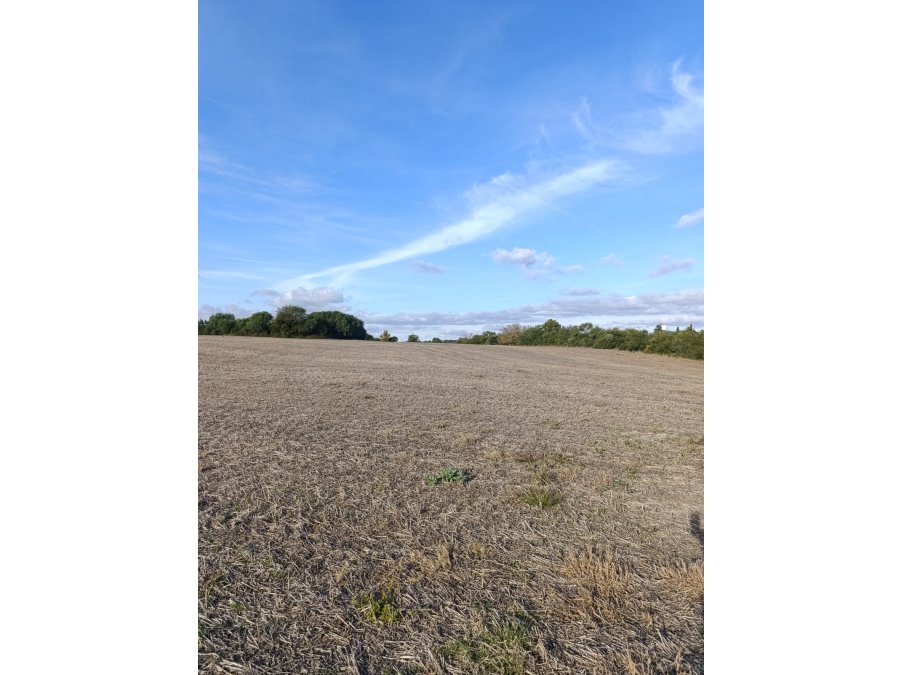 Venta campo  en Aldea Brasilera