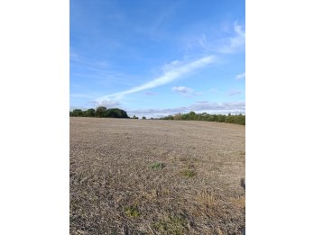 Venta campo  en Aldea Brasilera