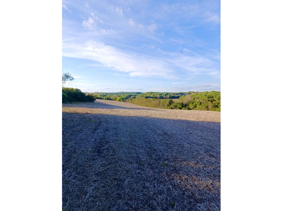 Venta campo  en Aldea Brasilera