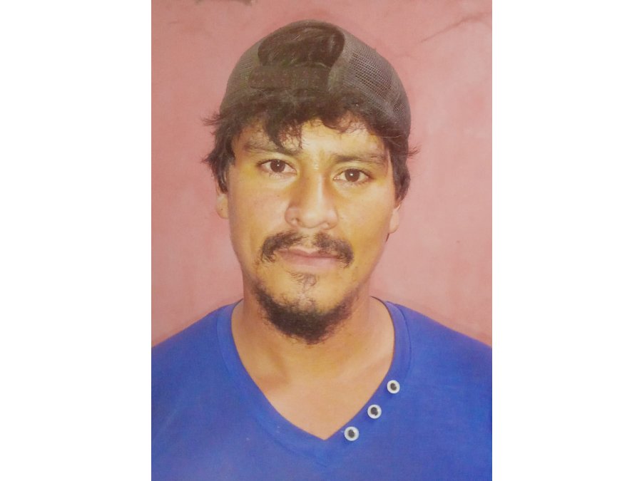 Oficial albañil busco empleo