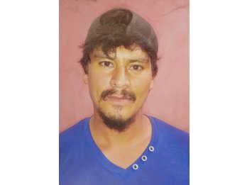 Oficial albañil busco empleo