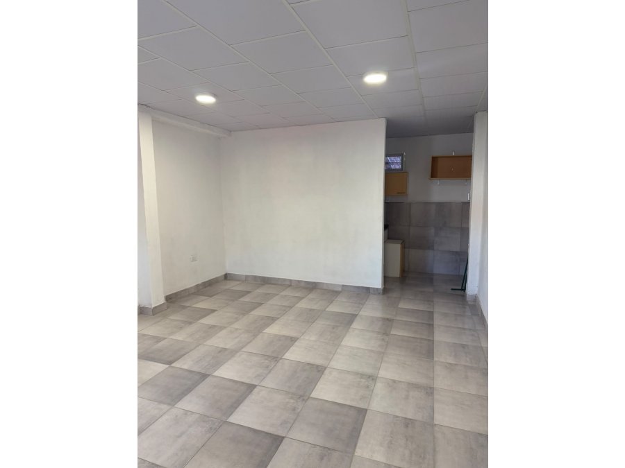 SE ALQUILA DEPARTAMENTO (TIPO MONOAMBIENTE)