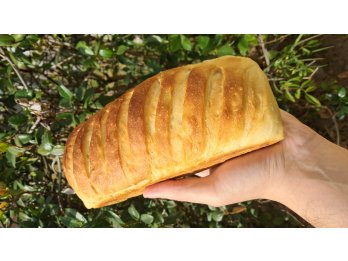 Pan tipo lactal - Artesanal (+500g)