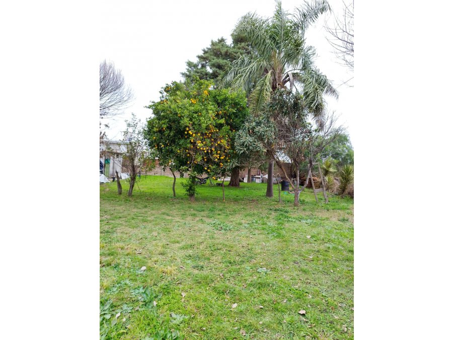 CASA REFACCIONAR CON GRAN TERRENO SAN BENITO