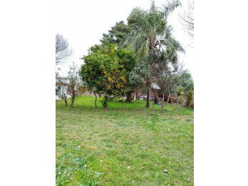 CASA REFACCIONAR CON GRAN TERRENO SAN BENITO