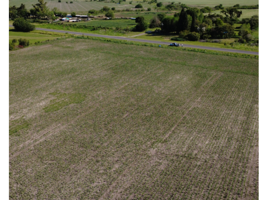 VENTA - CAMPO SOBRE RUTA EN SEGUI