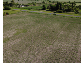 VENTA - CAMPO SOBRE RUTA EN SEGUI